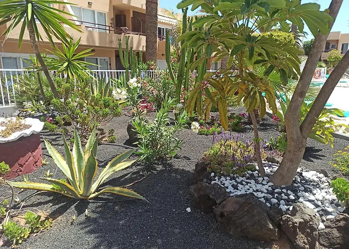 Casatrébol Apartamento